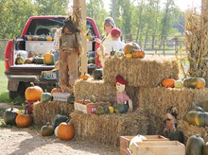 Fall festival this Saturday