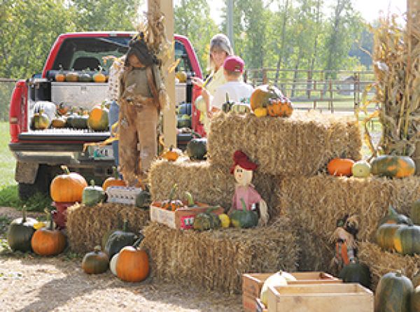 Fall festival this Saturday