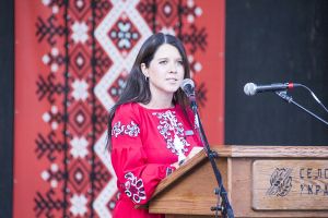 Gillis selected as Progressive Conservative candidate