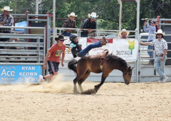 Good numbers for this year's fair
