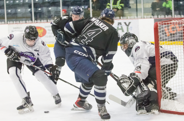 Winning streak snapped, Kings rebound on Ukrainian Night