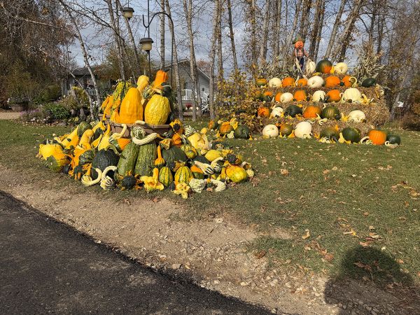 A bountiful autumn display