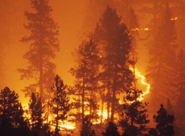 How to protect your home from wildfire