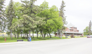 Summer Games committee planning a daily Party in the Park