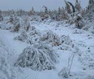 First winter storm comes early