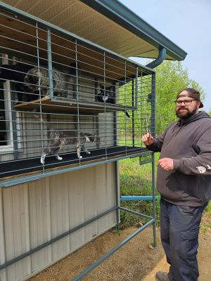 Dan, Dan the local SVAPL’s cat man