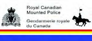 Police seize 246 firearms after call to assist EMS